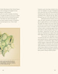Open spread with text and a watercolor leaf illustration