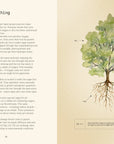 Open spread with text and a watercolor tree showing its roots