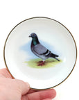 Hand holding a small round plate with a pigeon illustration on a white background
