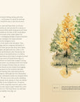Open spread with text and watercolor evergreen trees