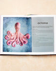 Cookbook | Portugal Recipes & Ingredients
