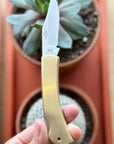 Folding Knife | Brass Lockback