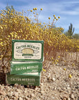 Cactus Needles toothpicks are a fun Southwest souvenir or party pick. Made from eco-friendly and durable bamboo, they’re perfect for appetizers and baking.