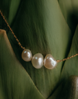 Perla Necklace | Freshwater Pearls on 14K Gold-Filled Chain