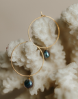 Perla Tiny Hoop | Freshwater Pearl on 14K Gold-Filled Wire