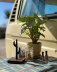 Saguaro Bottle Opener | Copper or Steel
