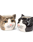 This adorable Small Black Cat Head Planter is the perfect complement to any cat lover's favorite cactus, succulent or flowers. Crafted out of ceramic, the cartoon-like shape of this cat head planter is sure to add a touch of fun and whimsy anywhere.