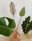 Green mulberry leaf and tan leaf stems in a pink glass vase with monstera and alocasia leaves