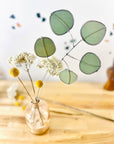 Bring a pop of color and artistry to your home with this handcrafted stained glass silver dollar eucalyptus stem by Samara Designs Studio. This stem is made from beautiful celadon green stained glass, carefully cut and assembled by hand to create a lasting botanical accent that will never wilt or fade.