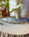 Sleek silver fish flask—stainless steel, pocket-friendly, and perfect for on-the-go pours. Polished, portable, and ready to make a splash.