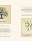 Open spread with text and watercolor illustrations of a tree and leaves