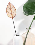 Stained Glass | Oval Leaf Flora