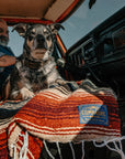 Man and dog sitting in a vintage truck on a red striped sarape
