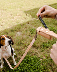 Lola Pet Waste Bag Holder | Leather