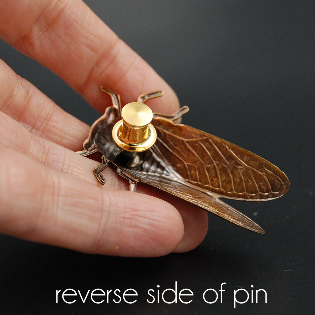 Insect Pin | Brass Cicada