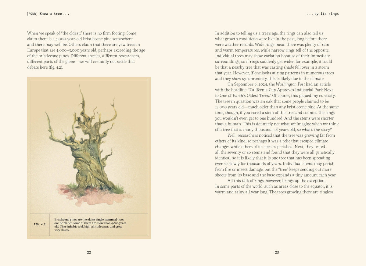 Open spread with text and a watercolor illustration of an old tree trunk