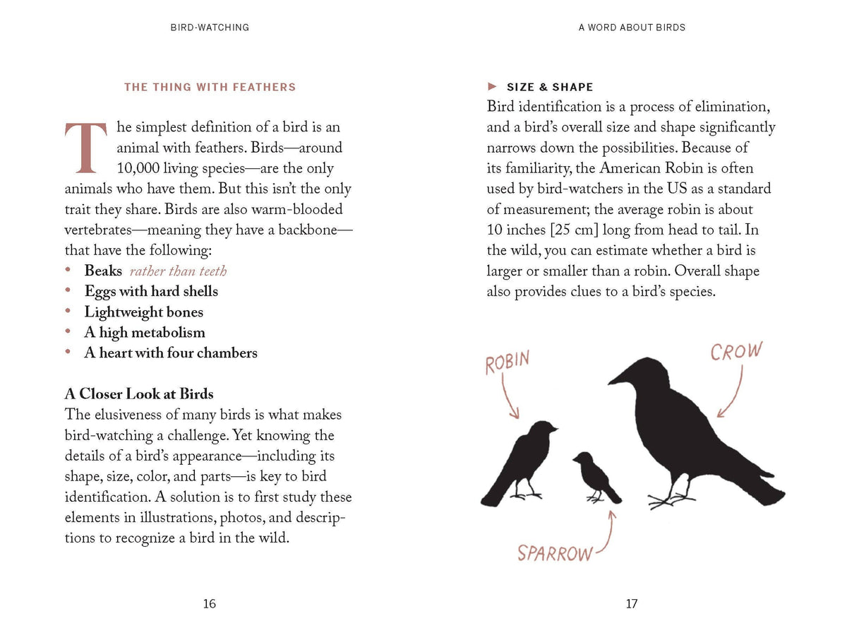 Book | Pocket Nature: Bird-Watching