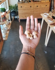 Wooden Mushrooms
