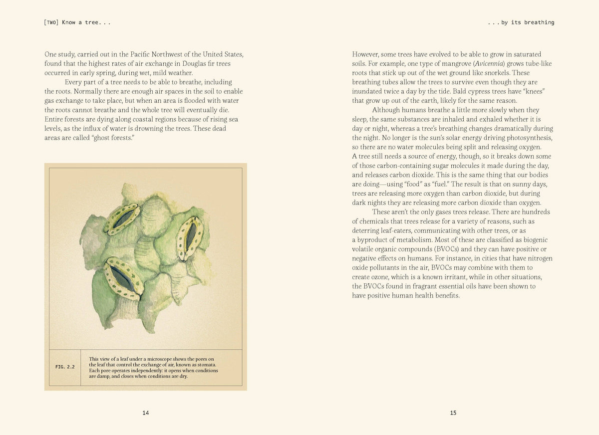 Open spread with text and a watercolor leaf illustration