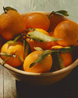 Marmalade | Ruby Valencia & Apricot