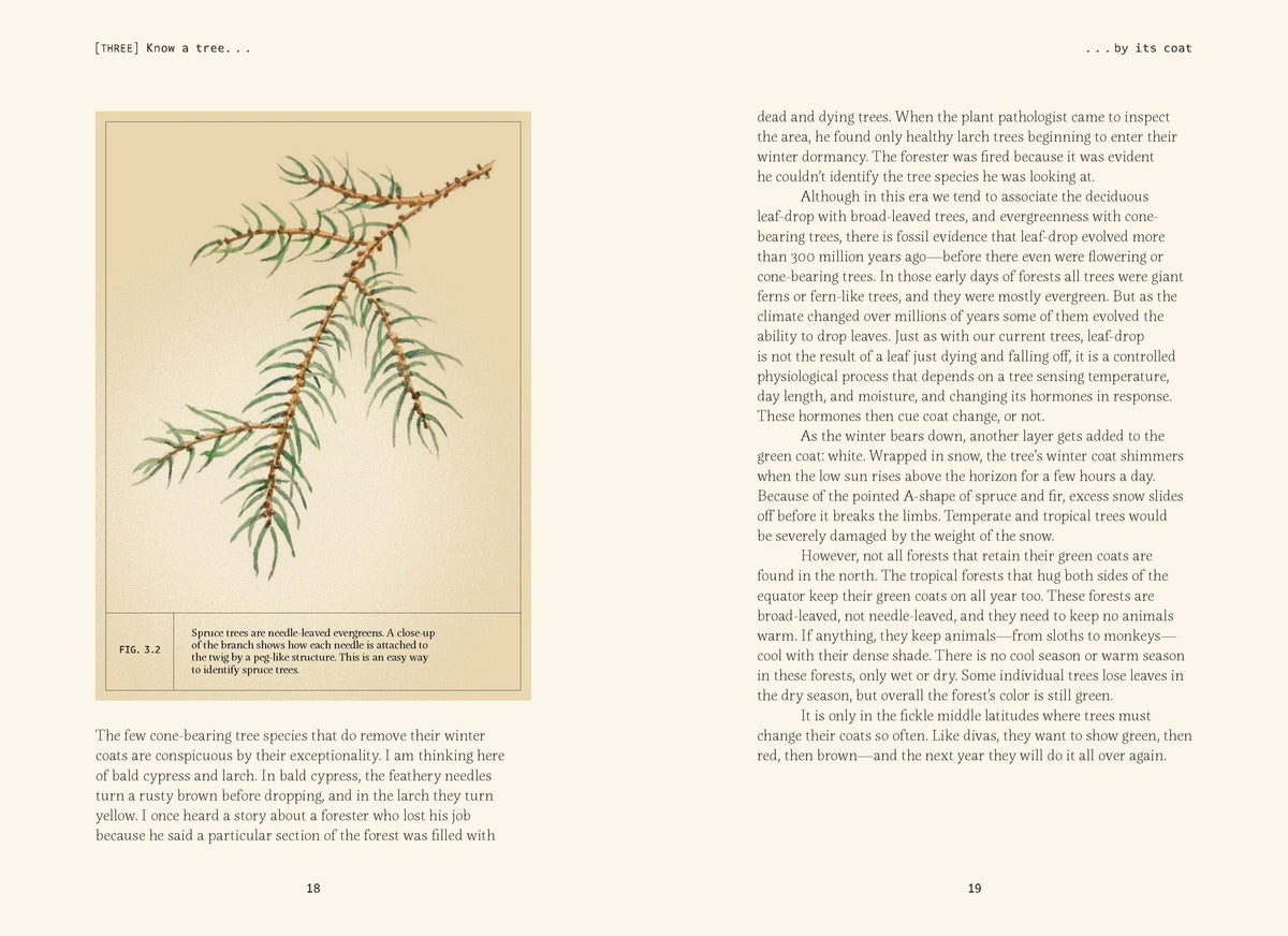 Open spread with text and a watercolor pine branch