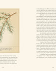 Open spread with text and a watercolor pine branch