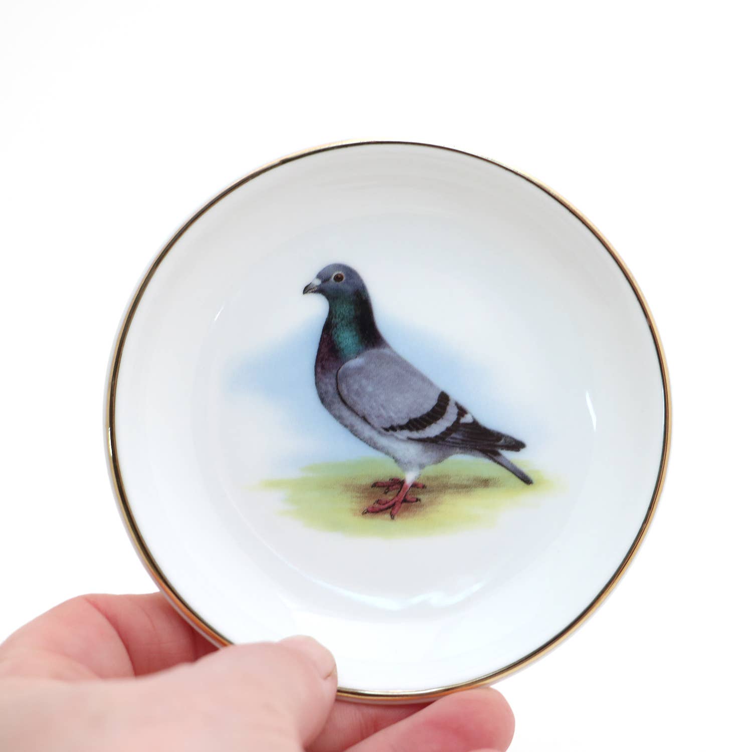 Small round plate with a pigeon design held by a hand on a white background