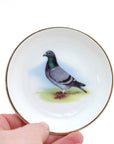 Small round plate with a pigeon design held by a hand on a white background