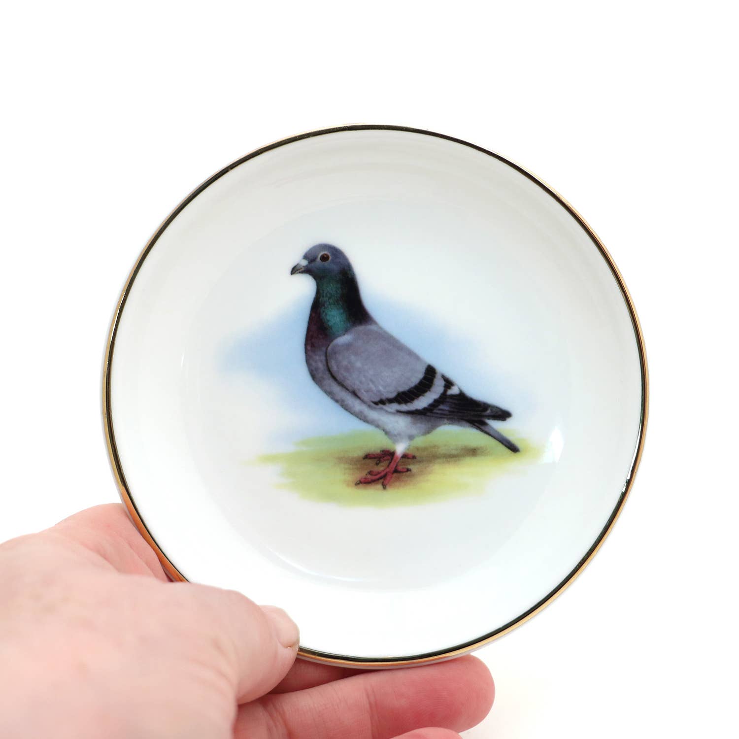 Hand holding a small round plate with a pigeon illustration on a white background