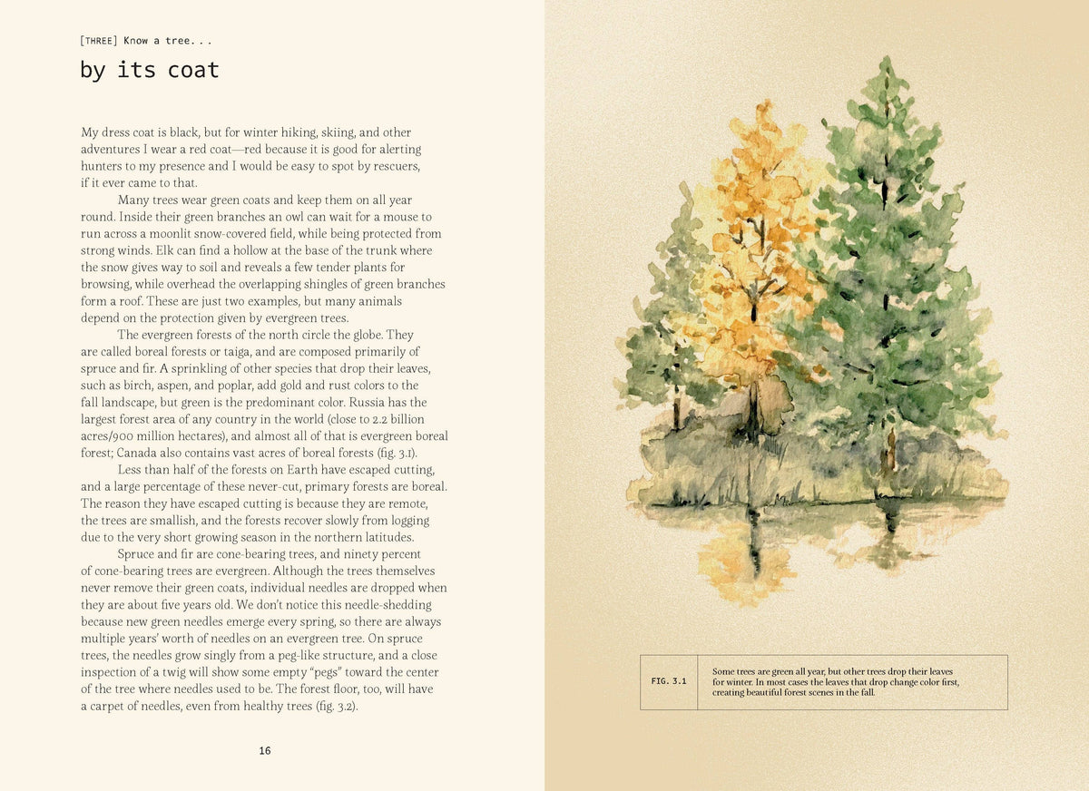 Open spread with text and watercolor evergreen trees