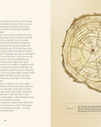 Open spread with text and a watercolor cross-section of tree rings