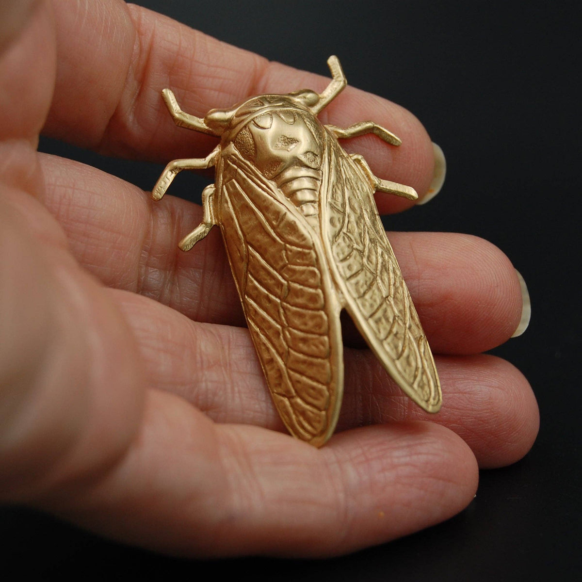 Insect Pin | Brass Cicada