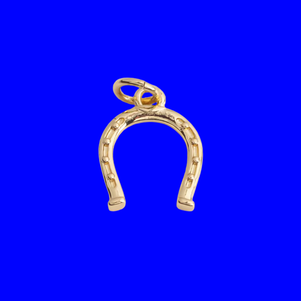 Charm | Horseshoe