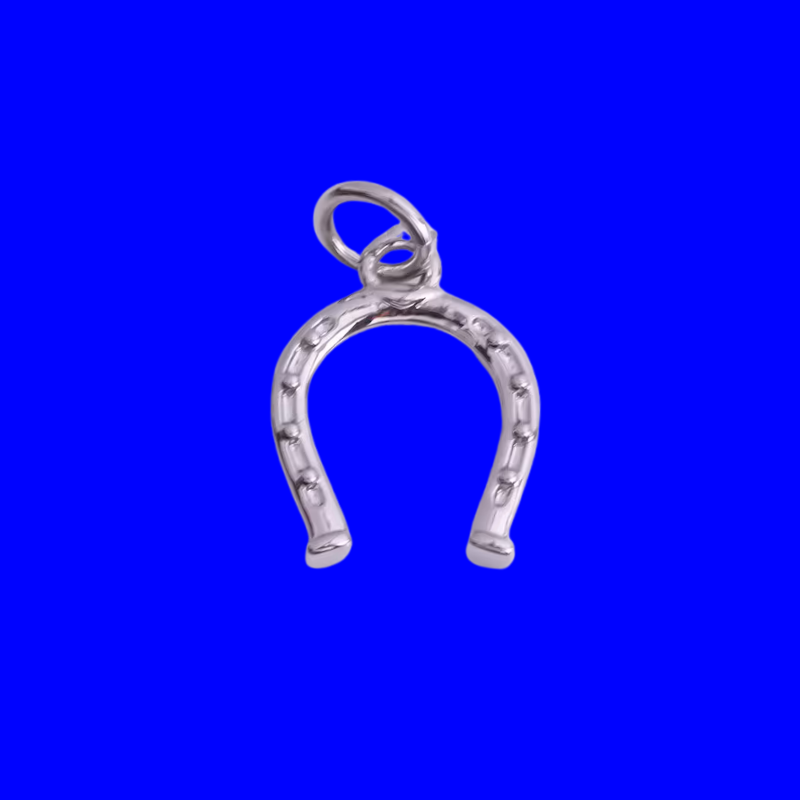 Charm | Horseshoe