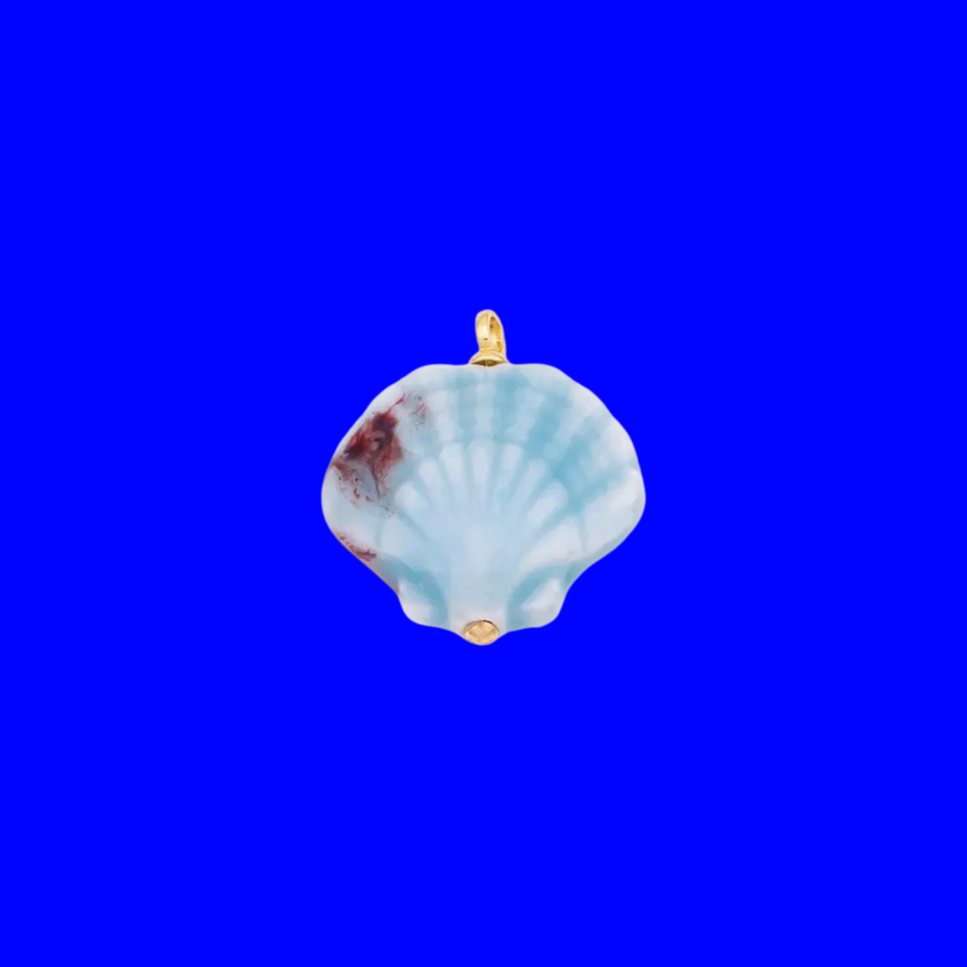 Charm | Shell