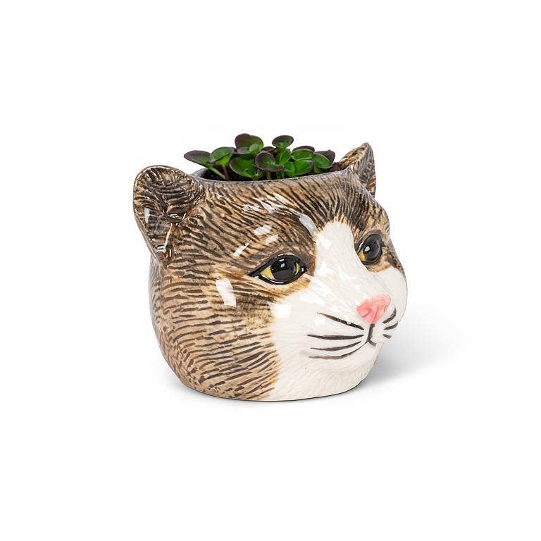This adorable Small Tabby Cat Head Planter is the perfect complement to any cat lover's favorite cactus, succulent or flowers. Crafted out of ceramic, the cartoon-like shape of this cat head planter is sure to add a touch of fun and whimsy anywhere.