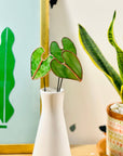 Bring a pop of color and artistry to your home with this handcrafted stained glass elephant ear by Samara Designs Studio. Each piece is made by hand using carefully selected stained glass, cut and assembled with care to create a lasting botanical accent that will never wilt or fade.