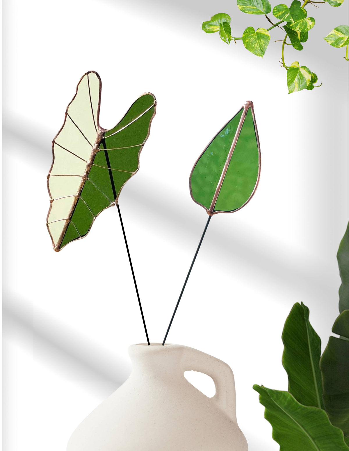 Green and pale stained glass leaf stems in a white jug against a white wall