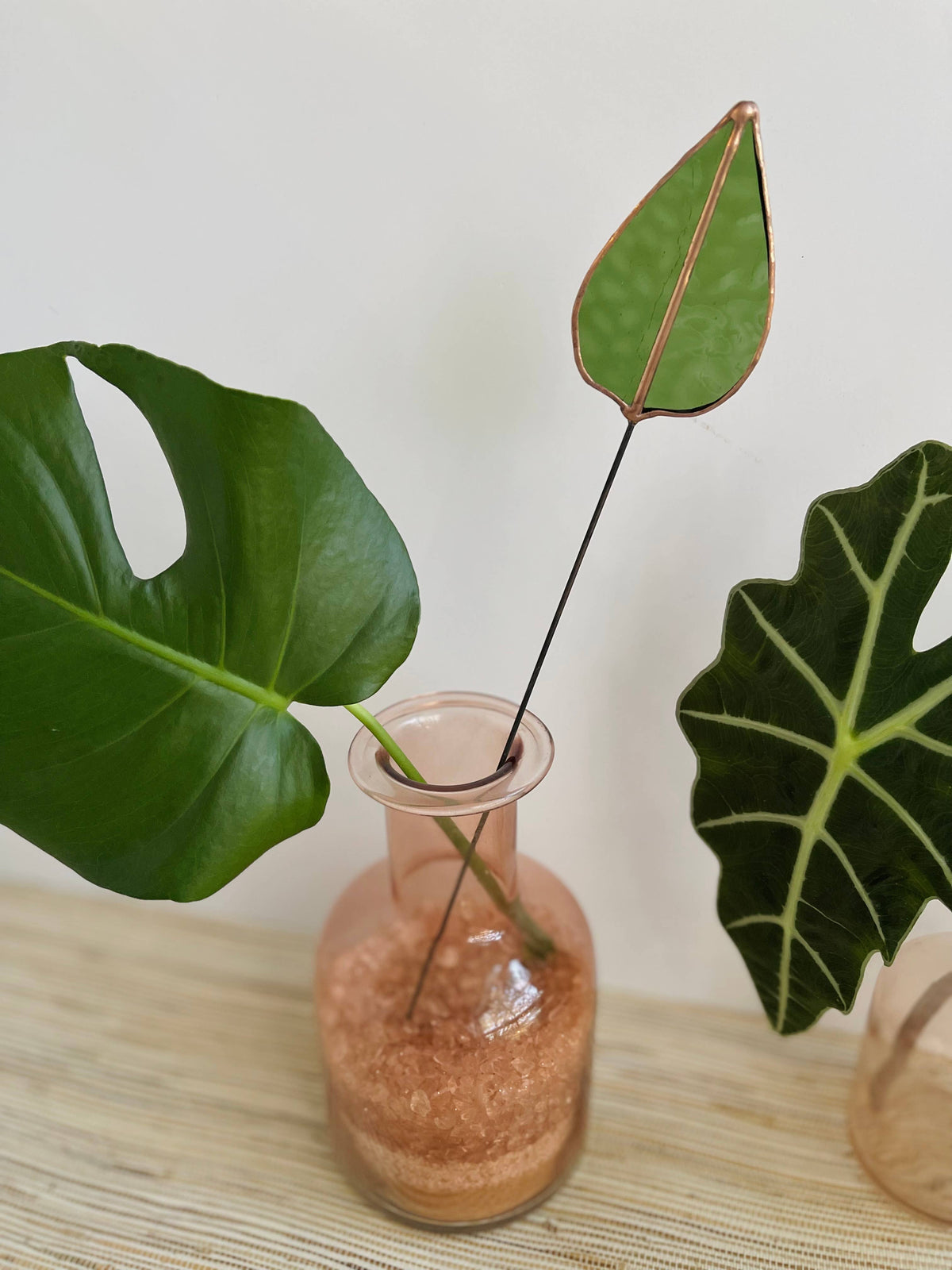 Green mulberry leaf stem in a pink glass vase with monstera and alocasia leaves