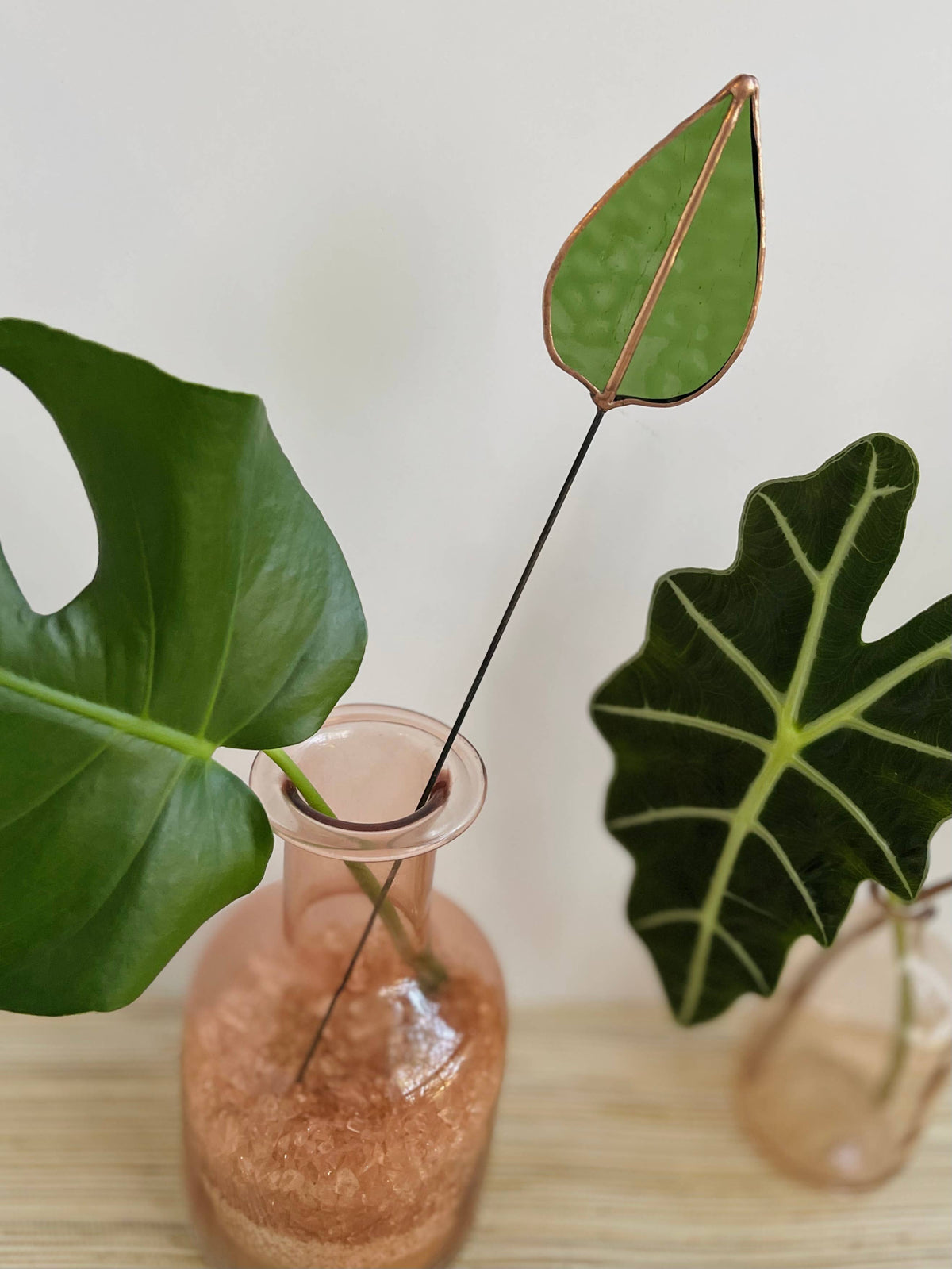 Close view of a green mulberry leaf stem in a pink glass vase with houseplant leaves