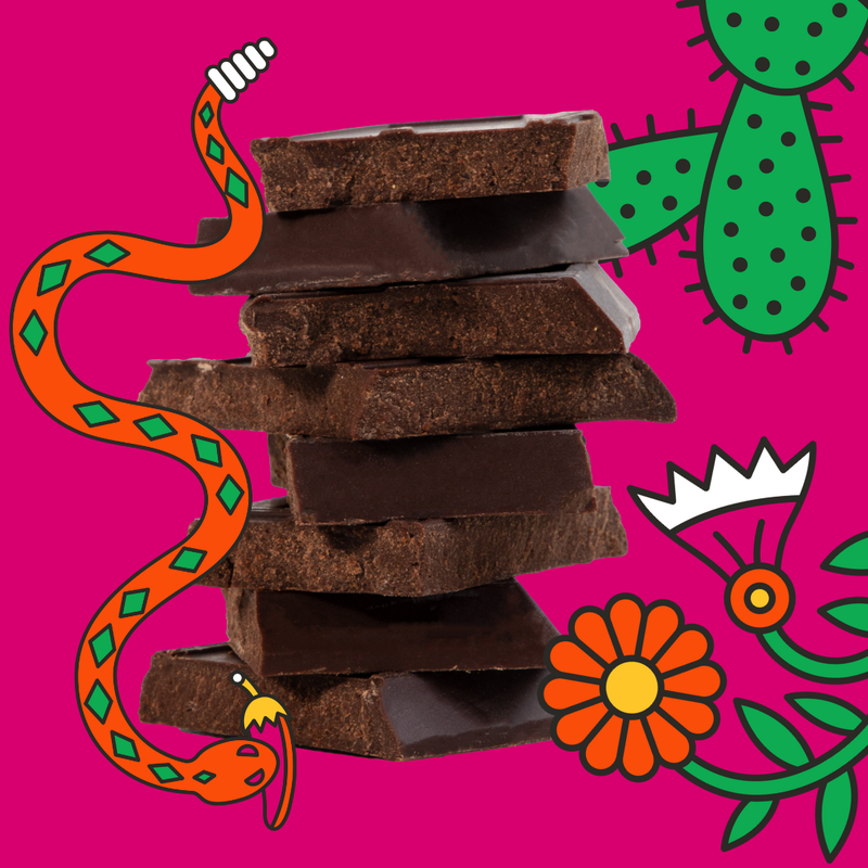 Stack of dark chocolate pieces against an illustrated pink background with a snake, cactus and flowers