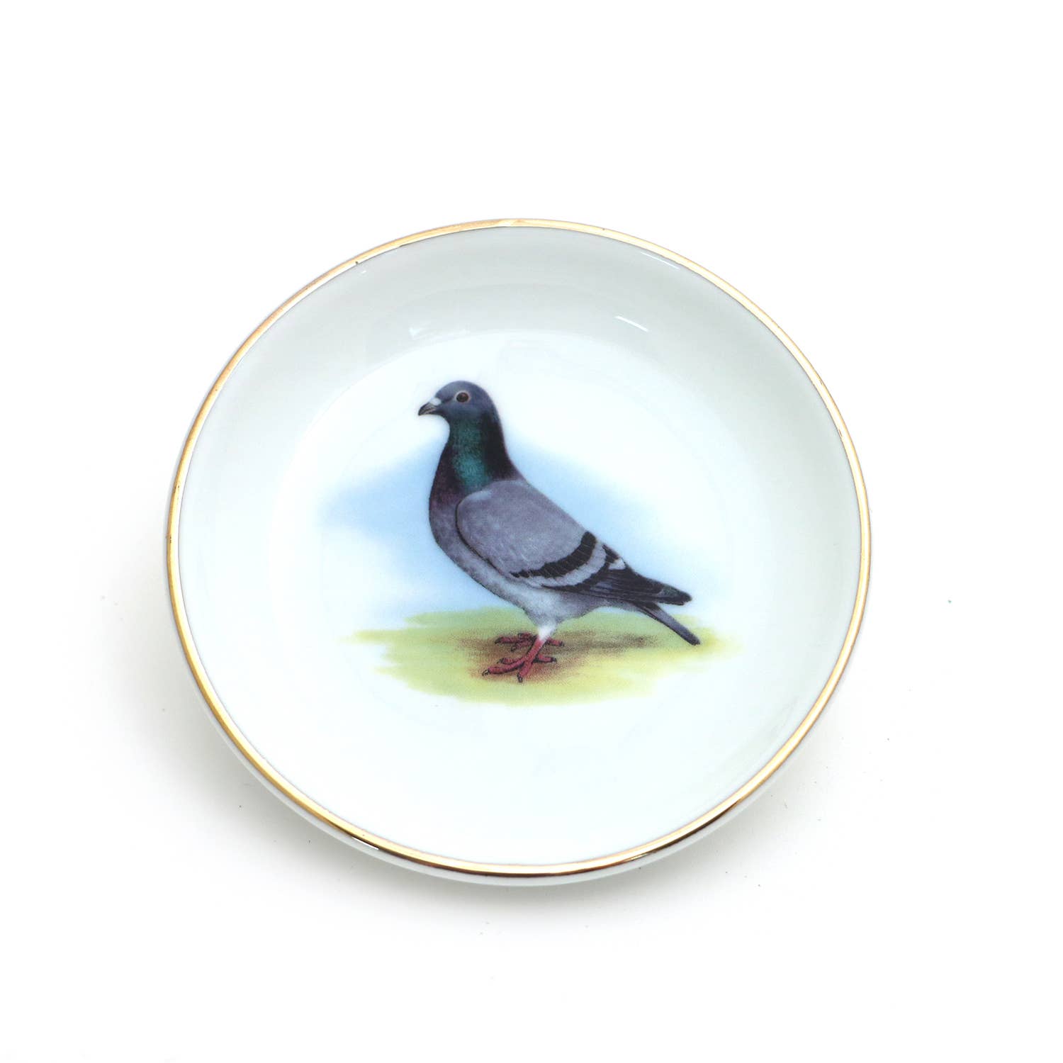Decorative plate with a pigeon illustration on a white background