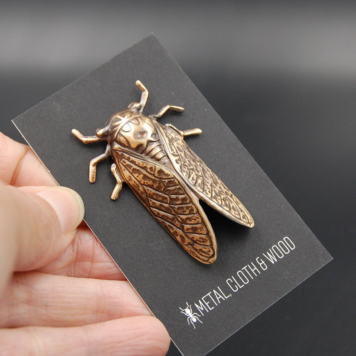 Insect Pin | Brass Cicada