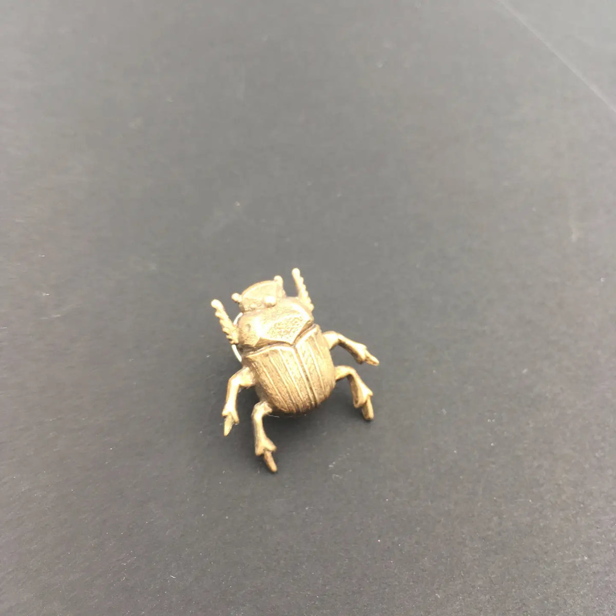 Insect Pin | Brass Scarab Beetle