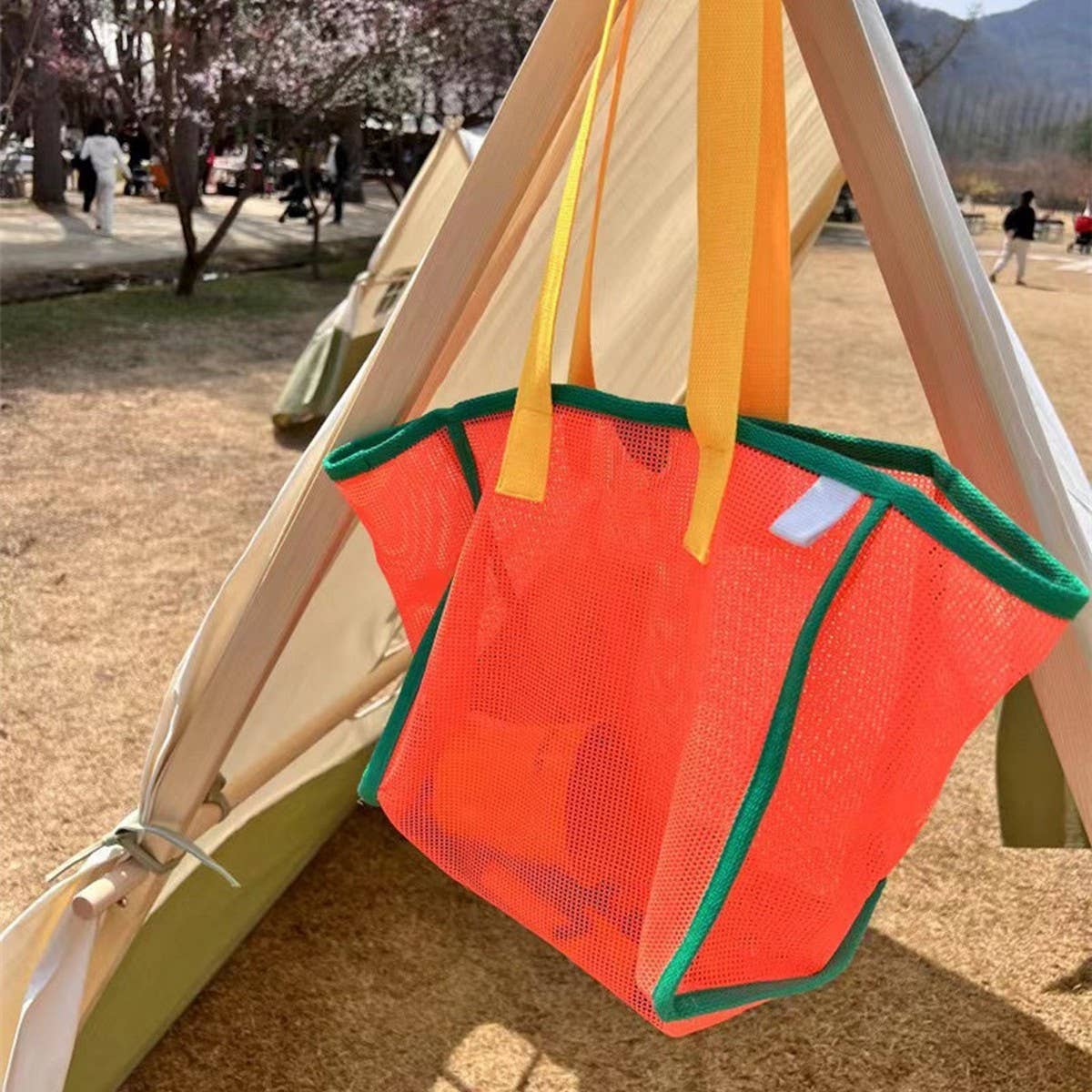 Mesh Contrast Beach Bag