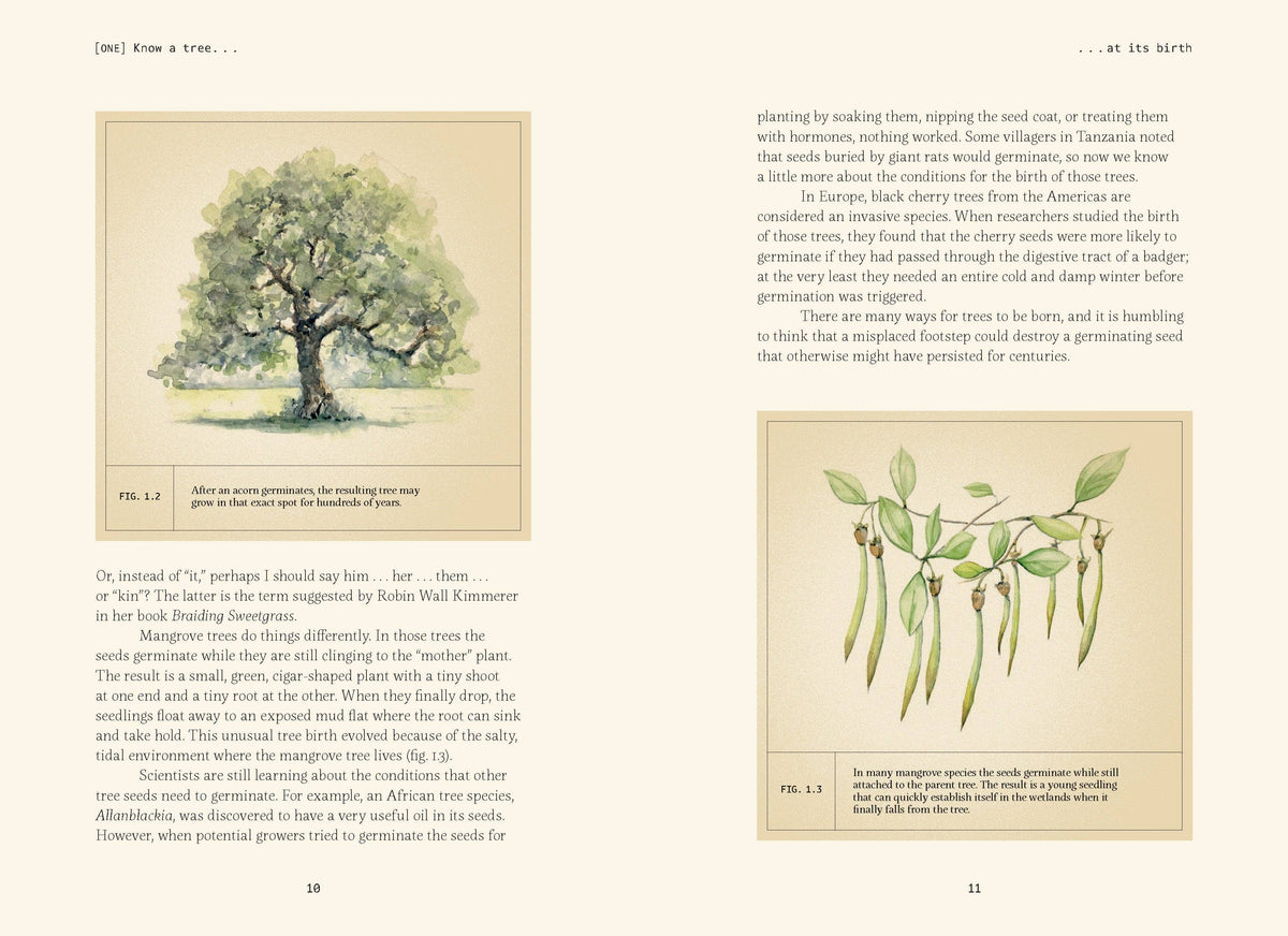 Open spread with text and watercolor illustrations of a tree and leaves