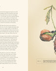 Open spread with text and a watercolor seedling and root illustration