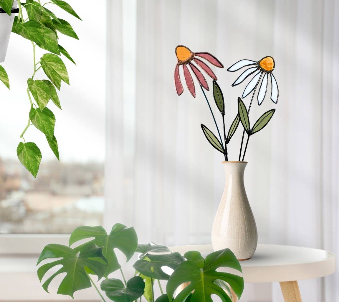 Pink and white stained glass coneflowers in a cream vase beside green houseplants