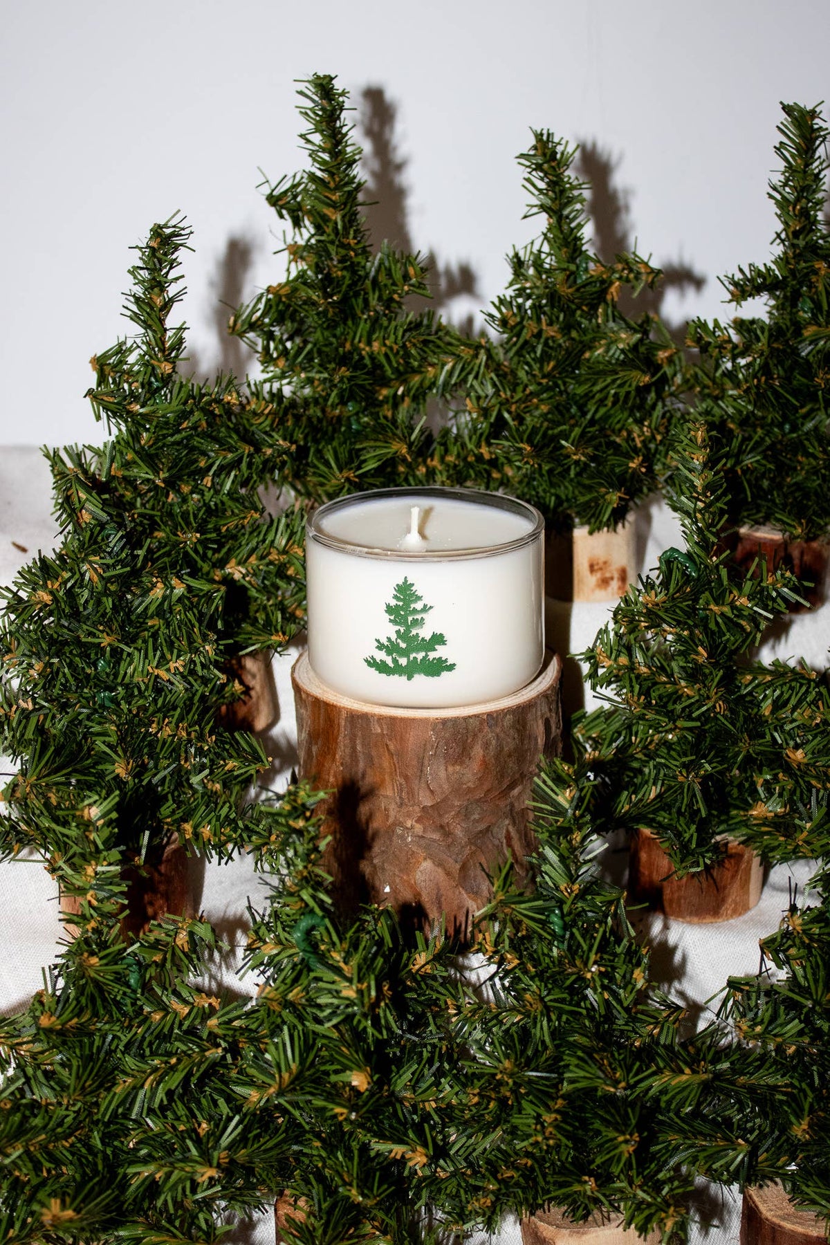 Coconut Soy Candle | Balsam Fir