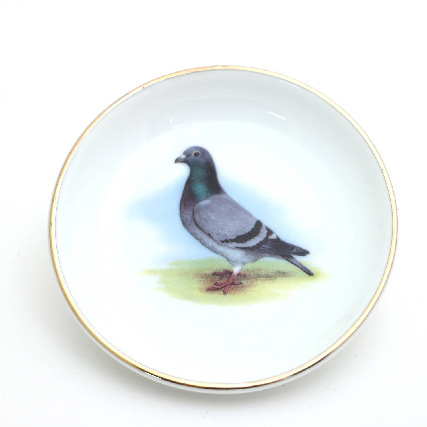 Decorative plate with a pigeon illustration on a white background